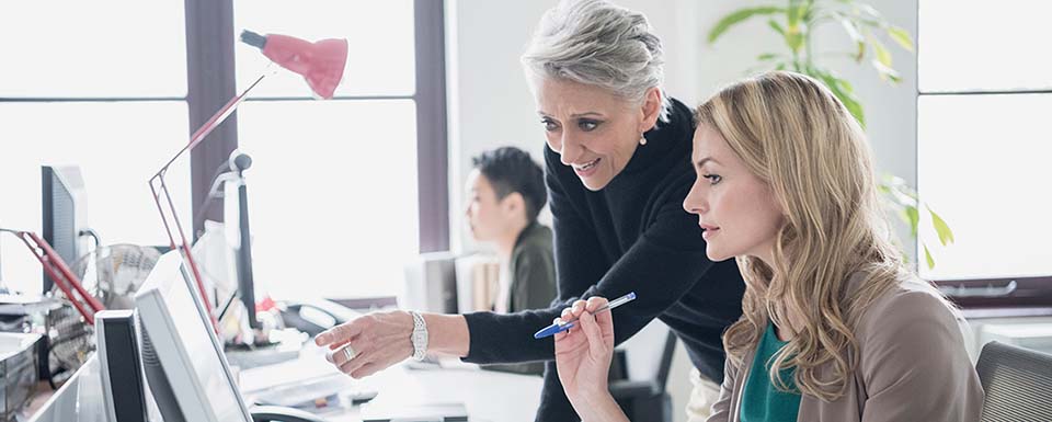 Bild zu Sales Executive / Business Development Manager (m/w/d)